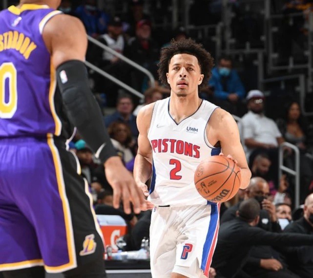 暴力行为的 暴力行为的