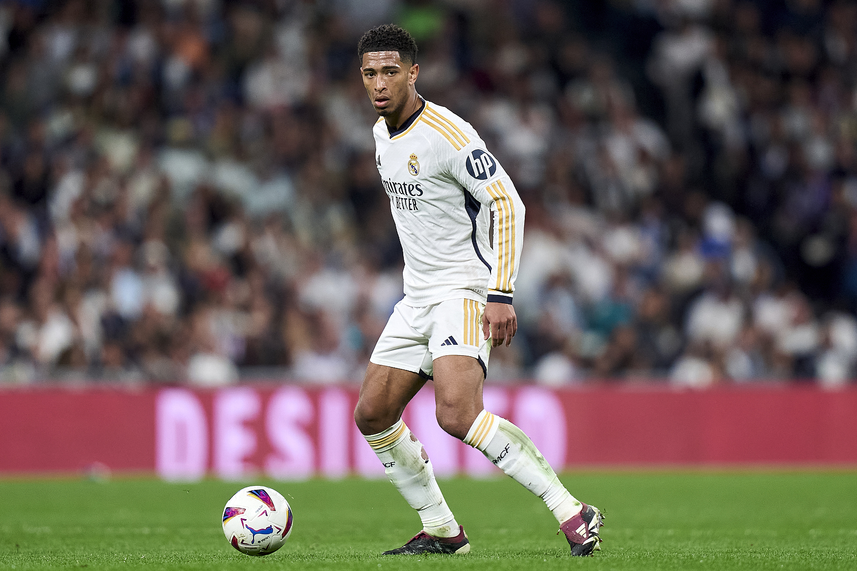 献的认可 献的认可