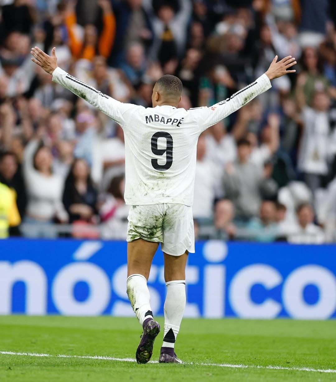 稳定来自可 稳定来自可